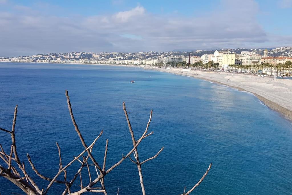 Studette En Plein Coeur Du Vieux นีซ ภายนอก รูปภาพ